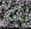 catalyseur titanique de zéolite du silicium TS-1 de 0.3um 0.5g/ml